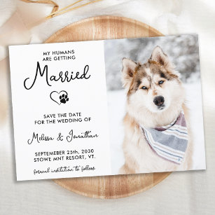 Custom Pet Photo Modern Calligraphy Dog Wedding Save The Date