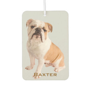 Custom Pet Photo Name Air Freshener