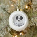 Custom Pet Photo Name and Year Ceramic Ball Christmas Ornament<br><div class="desc">Create your own cute custom ornament featuring your pet photo and text. Easily add your dog/cat/furbaby photo, name and year in the sidebar. You can also select from a Christmas tree, Bell, or Poinsettia design for the back of the ornament in the sidebar. The text will appear over the bottom...</div>