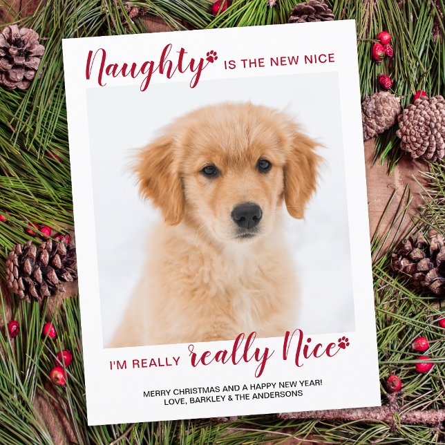 Custom Pet Photo Naught Nice Funny Dog Christmas Holiday Postcard (Creator Uploaded)