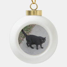 Custom Pet Photo Ornament