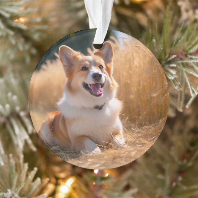 Custom Pet Photo Ornament (Tree)