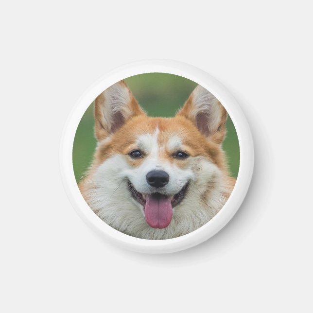 Custom Pet Photo Personalized  Magnet (Front)