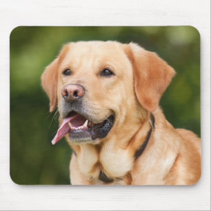Custom Pet Photo Personalized Mouse Pad