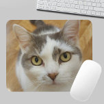 Custom Pet Photo Personalized Mousepad<br><div class="desc">Upload your photo and create a personalized mousepad. You can TRANSFER this DESIGN on other Zazzle products and adjust it to fit most of the Zazzle items. You can also click the CUSTOMIZE button to add, delete or change details like background colour, text, font or some graphics. Standard Studio designs...</div>