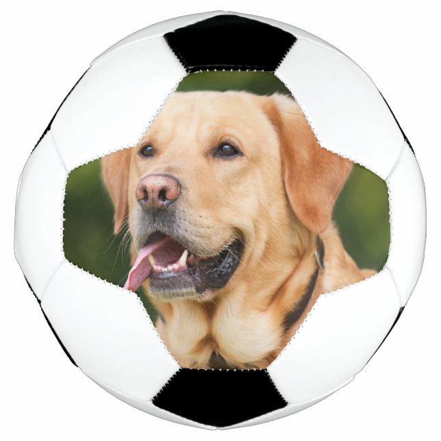 Custom Pet Photo Personalized  Soccer Ball (Front)