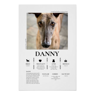 Custom Pet Photo  Poster