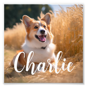 Custom Pet Photo Print