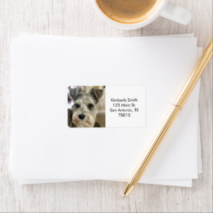 Custom Pet Photo Return Address Label