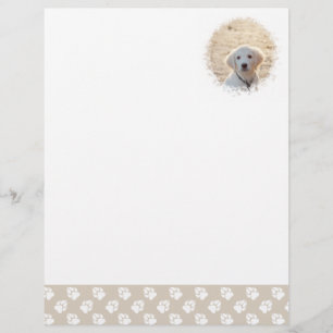 Custom Pet Photo Template With Beige & White Paws Letterhead