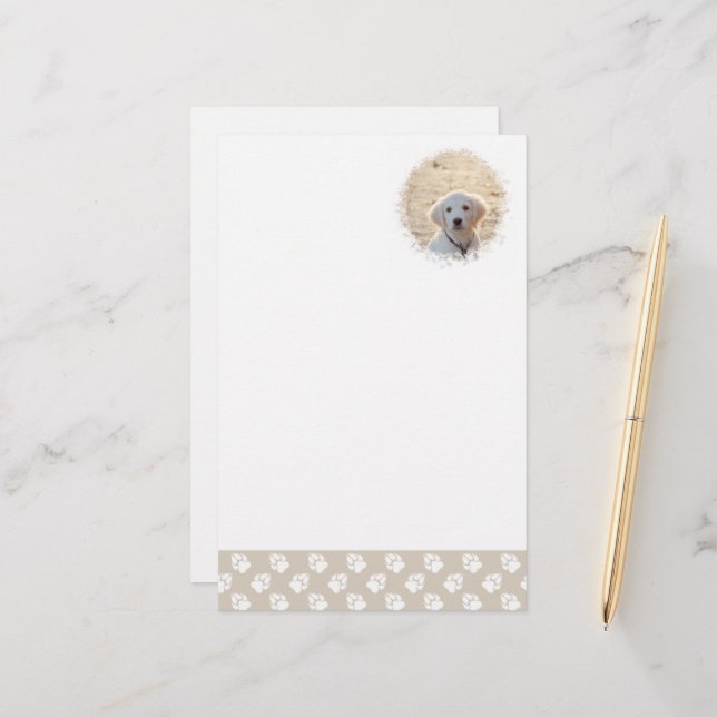 Custom Pet Photo Template With Beige & White Paws Stationery (Front/Back In Situ)