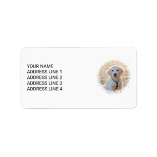 Custom Pet Photo Template With Personalized Text Label