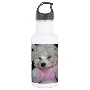 Custom Pet Photo Theme 532 Ml Water Bottle