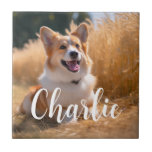 Custom Pet Photo Tile<br><div class="desc">Turn your favourite photo into a unique, personalized gift! Use a family picture, a cute pet photo, or any image you love to create something special. Perfect for holidays or any occasion, these gifts are sure to make your loved ones smile. Note: The photo shown is just an example. Please...</div>