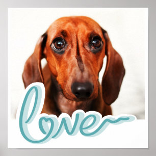 Custom Pet Photo with LOVE in Blue Typography Poster