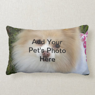 Custom Pet Pillow