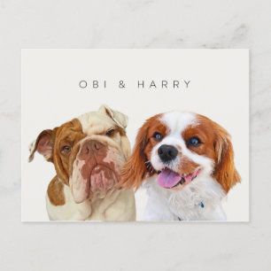 Custom pet portraits postcard