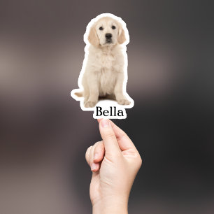 Custom Pet Sticker, Custom Dog Sticker, Custom Cat