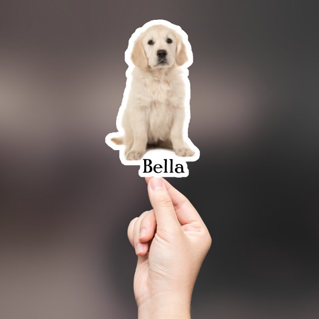 Custom Pet Sticker, Custom Dog Sticker, Custom Cat (Creator Uploaded)