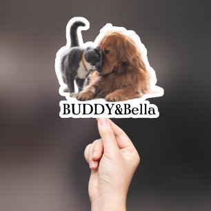 Custom Pet Sticker, Custom Dog Sticker, Custom Cat