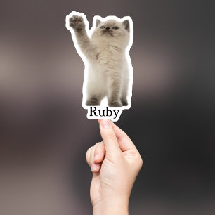 Custom Pet Sticker, Custom Dog Sticker, Custom Cat