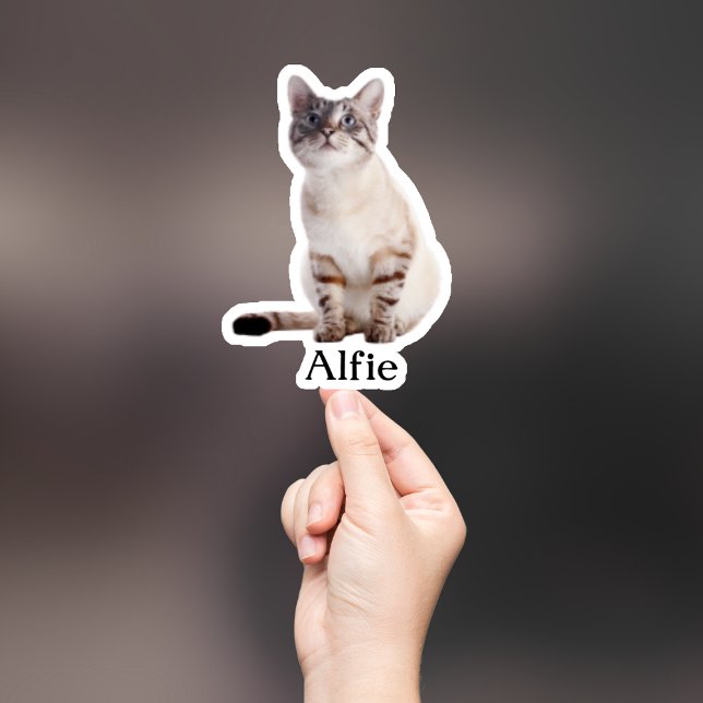 Custom Pet Sticker, Custom Dog Sticker, Custom Cat (Creator Uploaded)