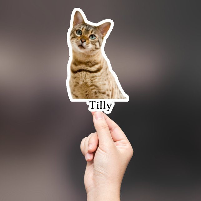Custom Pet Sticker, Custom Dog Sticker, Custom Cat (Creator Uploaded)