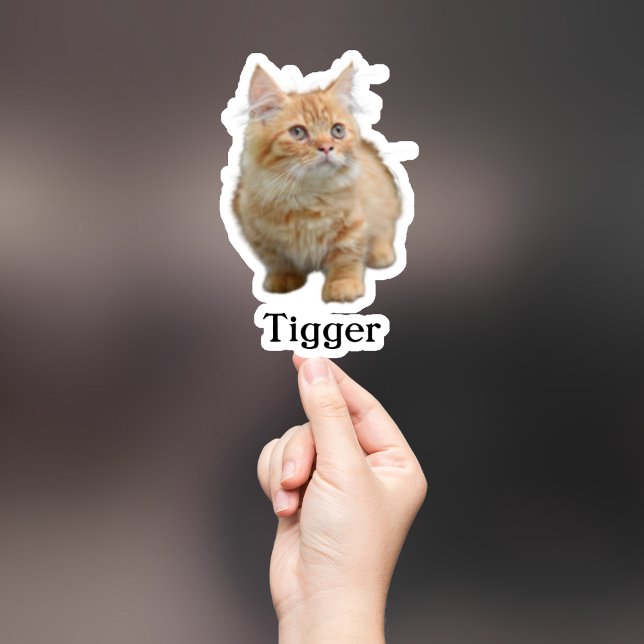 Custom Pet Sticker, Custom Dog Sticker, Custom Cat (Creator Uploaded)