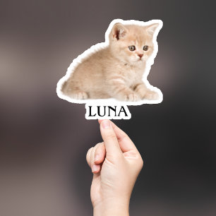 Custom Pet Sticker, Custom Dog Sticker, Custom Cat
