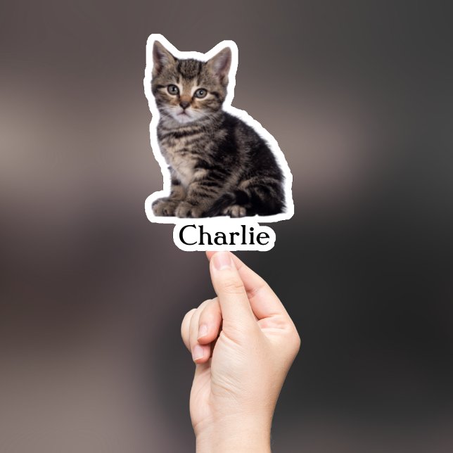 Custom Pet Sticker, Custom Dog Sticker, Custom Cat (Creator Uploaded)