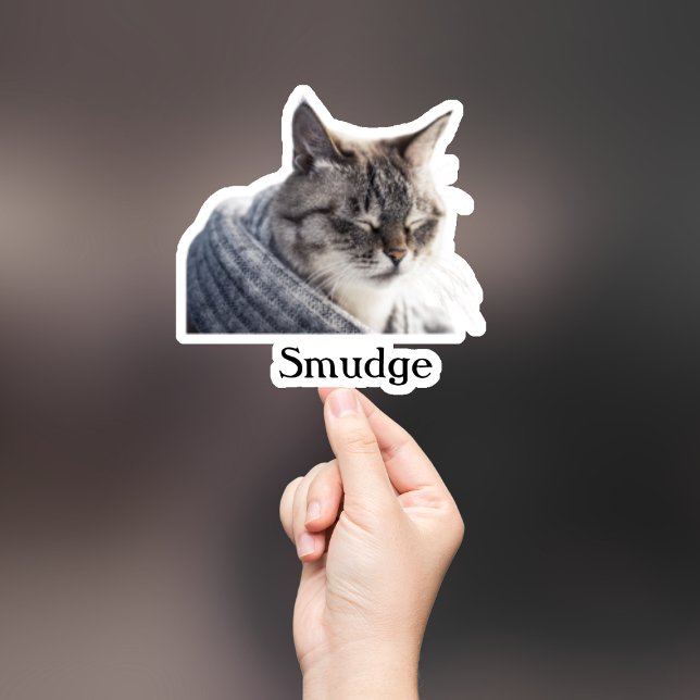 Custom Pet Sticker, Custom Dog Sticker, Custom Cat (Creator Uploaded)