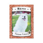 Custom Pet Trading Card, Therapy Dog Trading