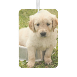 Custom Photo Air Freshener - I Love Pets