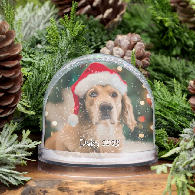 Custom Photo and Name Double Sided Pet  Snowglobe (Winter)