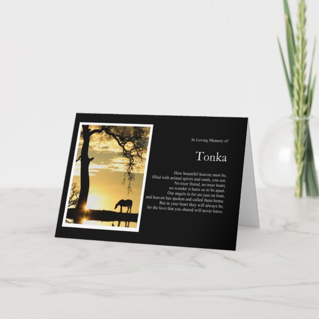 Custom Photo and Name Horse Sympathy Card (Front)