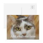 Custom Photo and Name Personalized