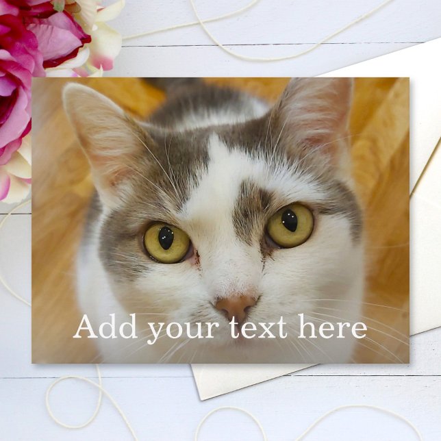 Custom Photo and Name Personalized Postcard (Creator Uploaded)