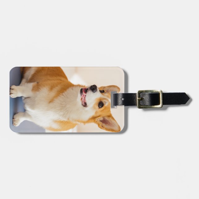 Custom Photo and Personalized pet Luggage Tag (Front Horizontal)