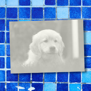 Custom Photo, Auto Convert Pic to Light Tone B & W Post-it Notes