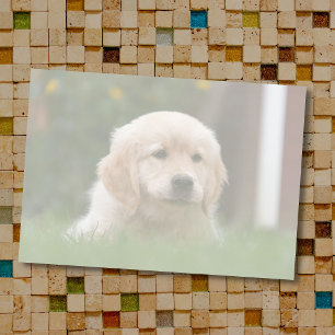 Custom Photo Auto Convert Your Pic to Light Tone Post-it Notes