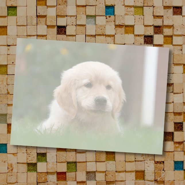 Custom Photo | Auto Convert Your Pic to Light Tone Post-it Notes (Creator Uploaded)