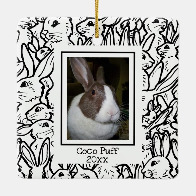 Custom Photo Black & White Rabbit Drawings Modern Ceramic Ornament (Back)