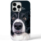 Custom Photo Border Collie Dog Face