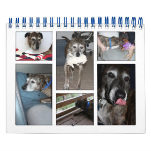 Custom Photo Calendar