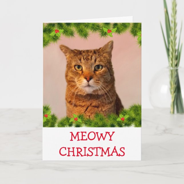 Custom Photo Cat Christmas Holiday Card (Front)