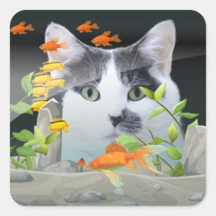 Custom Photo Cat Peering in Fish Tank Square Sticker