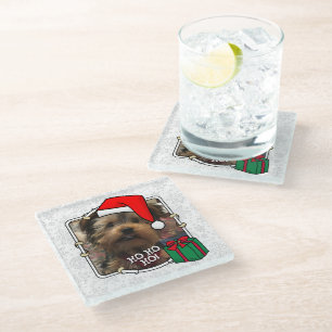 Custom Photo Christmas Santa Hat Pet HO HO HO Glass Coaster