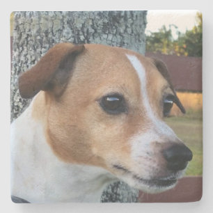 Custom photo coaster