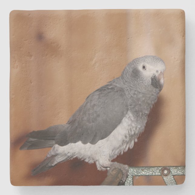 CUSTOM PHOTO COASTER (Front)