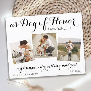 Custom Photo Collage Dog Save The Date Cards